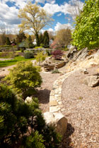 Landscaping example